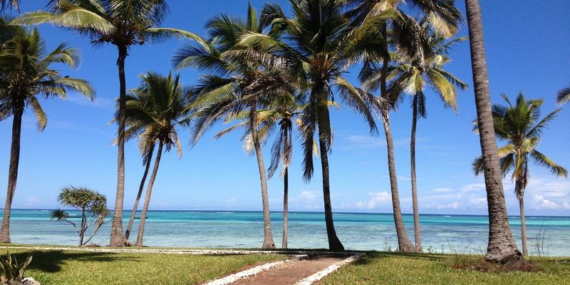 Zanzibaro sala (Tanzanija)